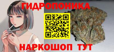 бошки Краснознаменск
