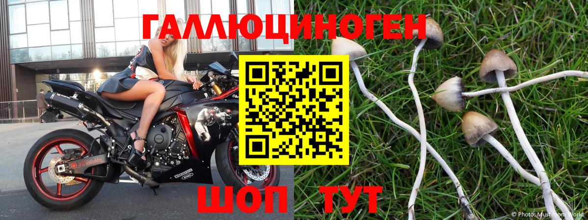 Чехов  Галлюциногенные грибы Psilocybe  Вход с VPN  Псилоцибиновые грибы Psilocybe 